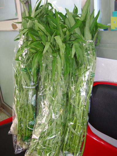 ผักบุ้งไร้ดินปลอดสารพิษ
