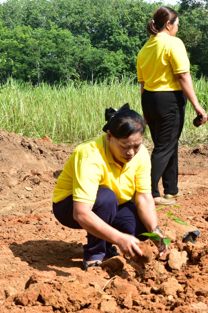 กิจกรรมวันต้นไม้ประจำชาติ พ.ศ.2567